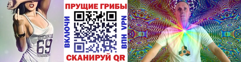 hydra онион  где продают наркотики  Миллерово  Псилоцибиновые грибы мицелий 