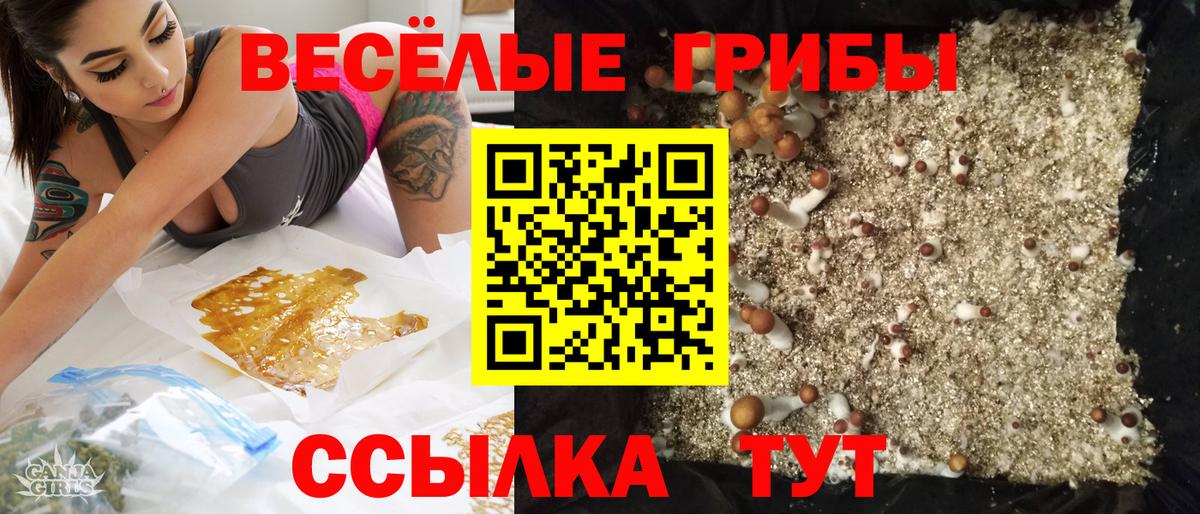 Псилоцибиновые грибы мухоморы Миллерово