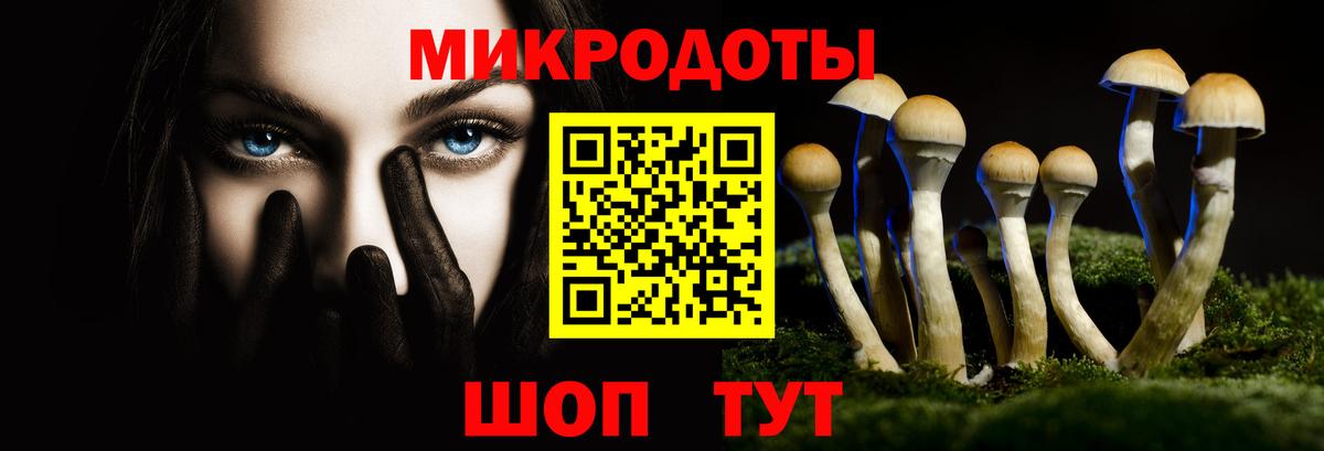 Миллерово  Галлюциногенные грибы Psilocybe  Вход с VPN 