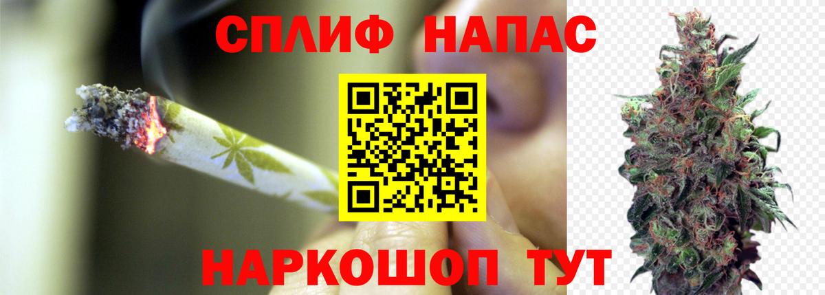Миллерово  Марихуана планчик  Вход с VPN  МАРИХУАНА семена  Марихуана Amnesia  Марихуана индика 